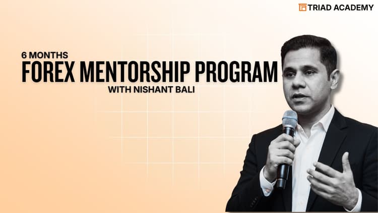 6 Months Forex Mentorship Program